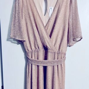 Baltic Born Shimmer Gown XL New with Tags